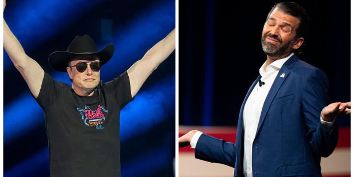 Who shared the crazy meme: Elon Musk or Don Jr?