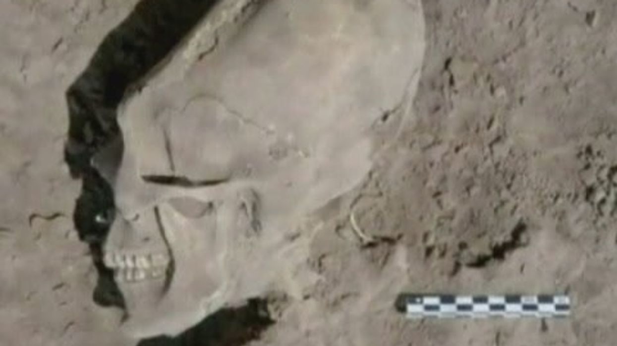 Scientists discover ancient 300,000-year-old skull that has 'never been seen before'