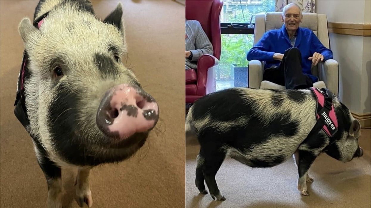 Blanket visited his owner at his care home (Care UK/PA)