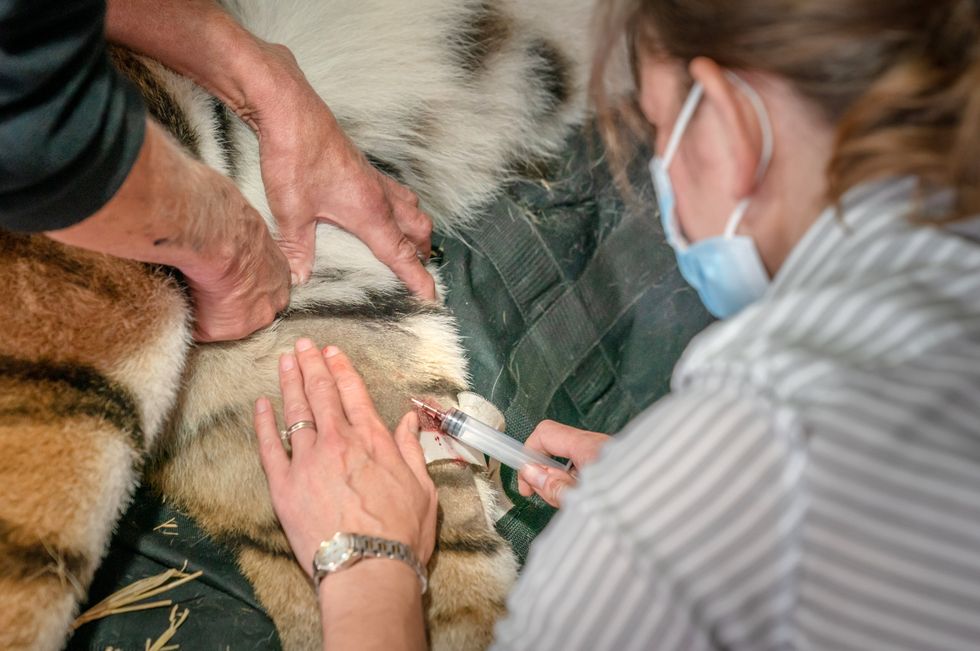 Blood for a routine blood screening is taken (Danny Lawson/PA)