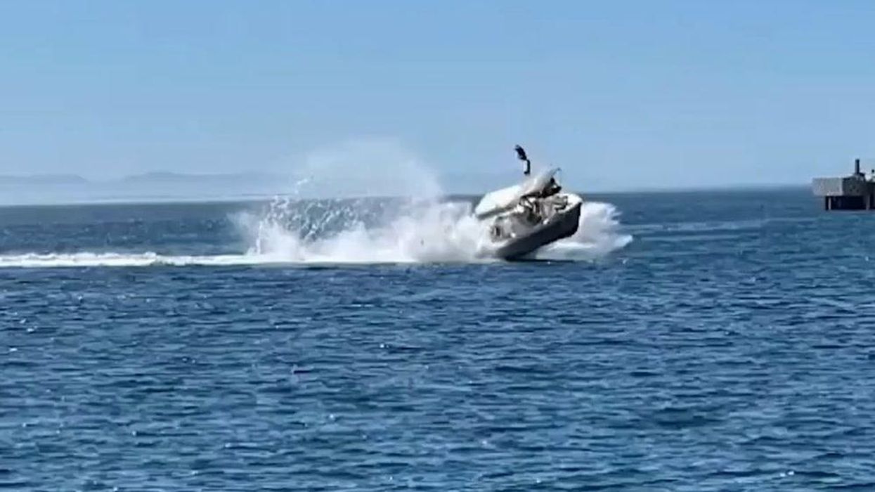 Boat launches tourists into air after striking humpback whale