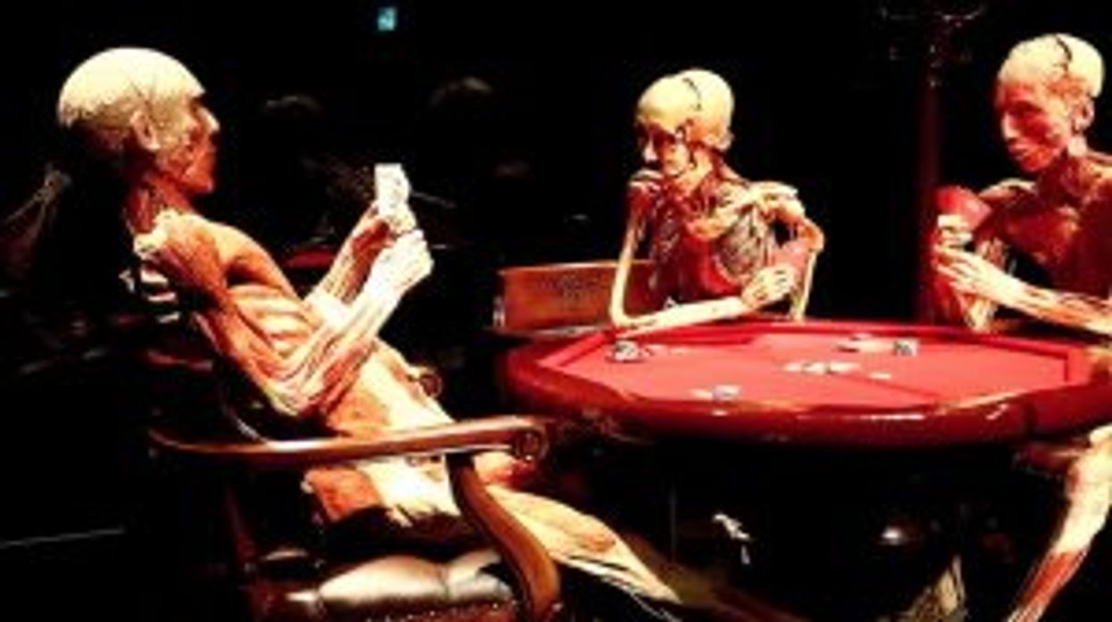 Scientists discover one thing that all dead bodies have in common