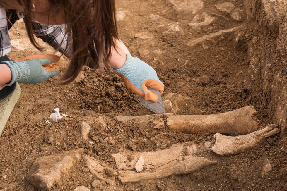 Bone fragments were also uncovered at the archaeological site. (University of Leicester Archaeological Services/PA)