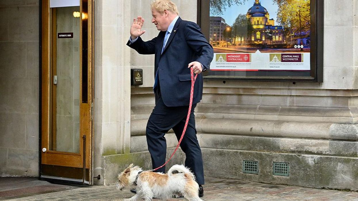 20 of the best dogs at polling stations