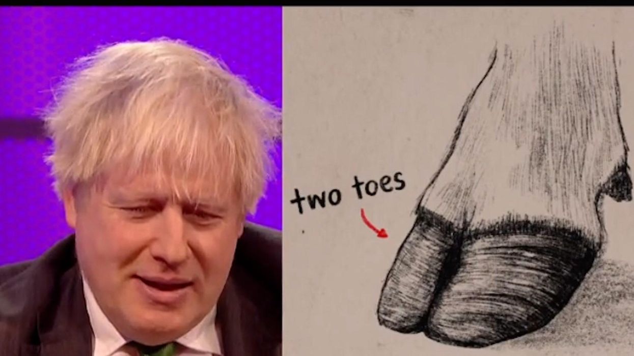 The 6 most bizarre moments from Boris Johnson's cringe Nadine Dorries interview