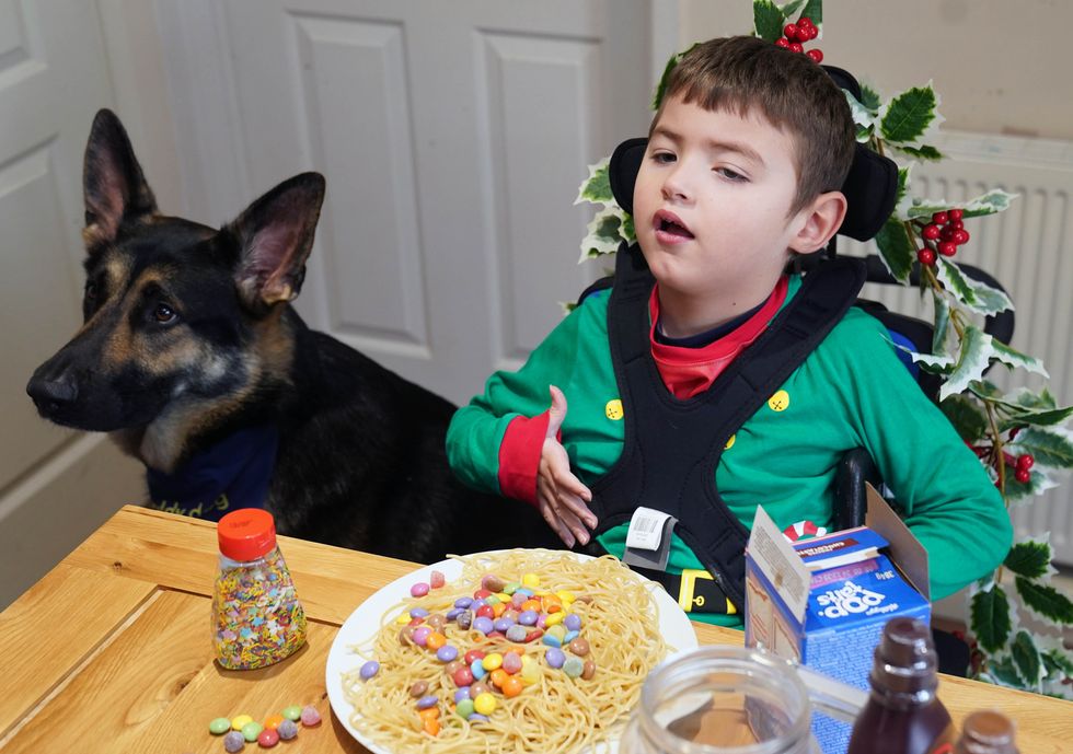 Boy and dog together