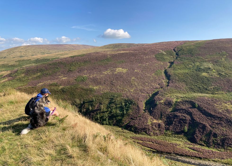 Boy sitting on the grass with a dog