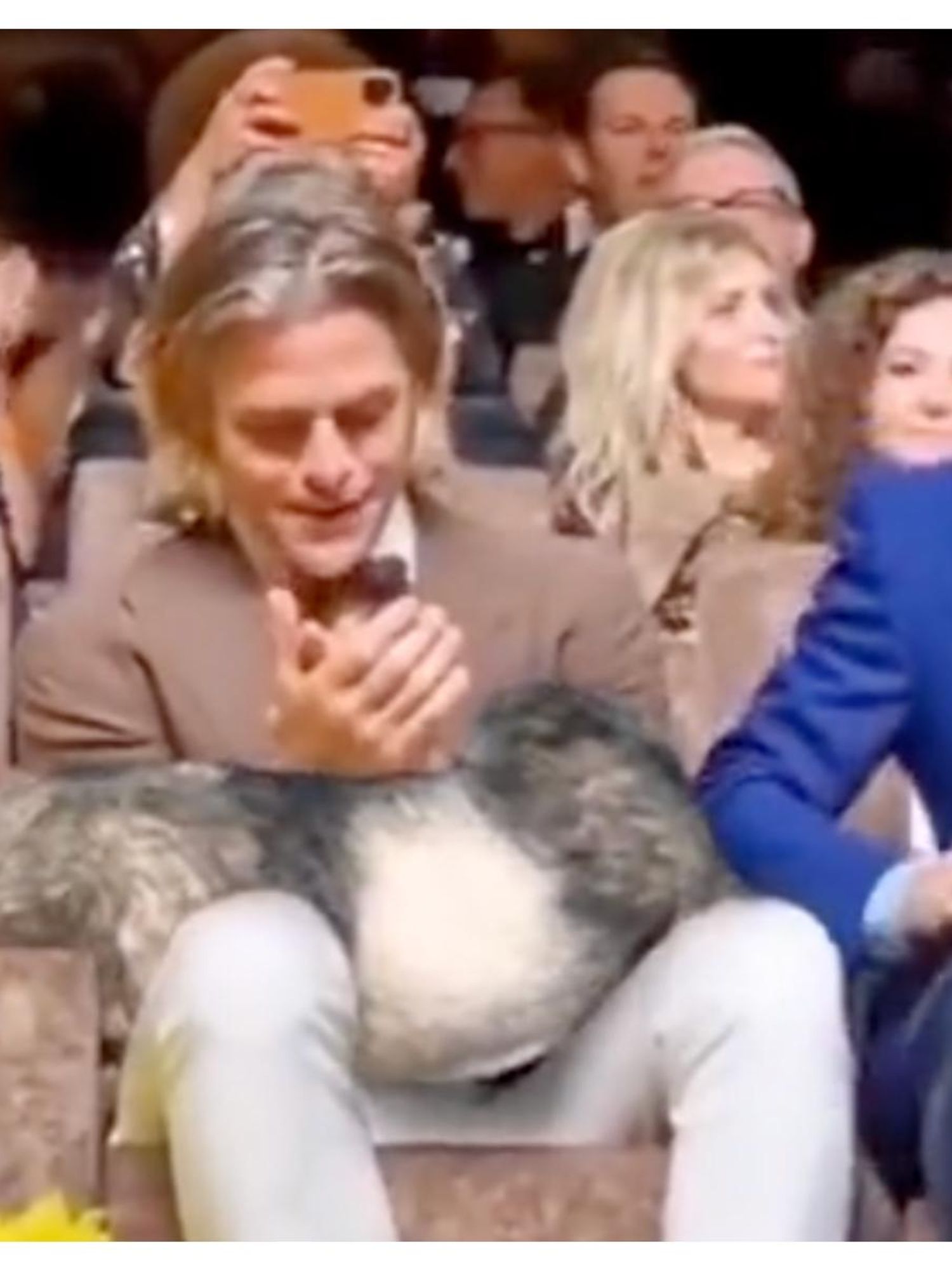 Harry Styles throwing a goat at Chris Pine is the best meme about 'spit gate'