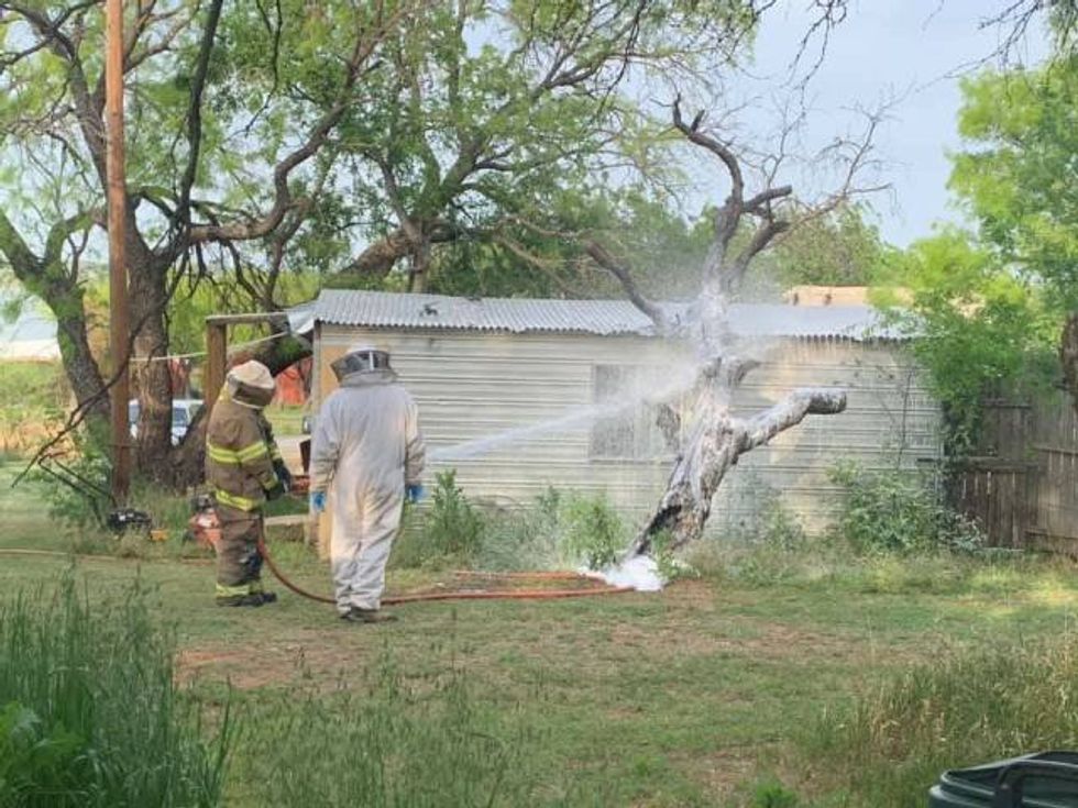 Breckenridge Fire Department responds to property swarmed with deadly Honeybees
