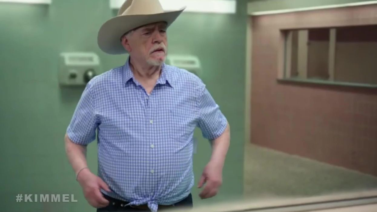 Succession's Brian Cox transforms into Euphoria's Cassie in bathroom scene