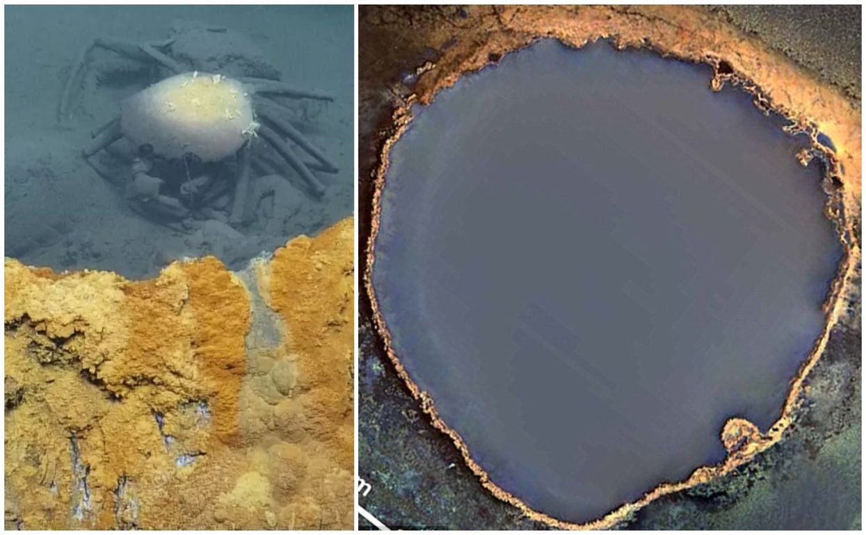 Deep-sea 'hot tub of despair’ has a nightmarish effect on all who enter it