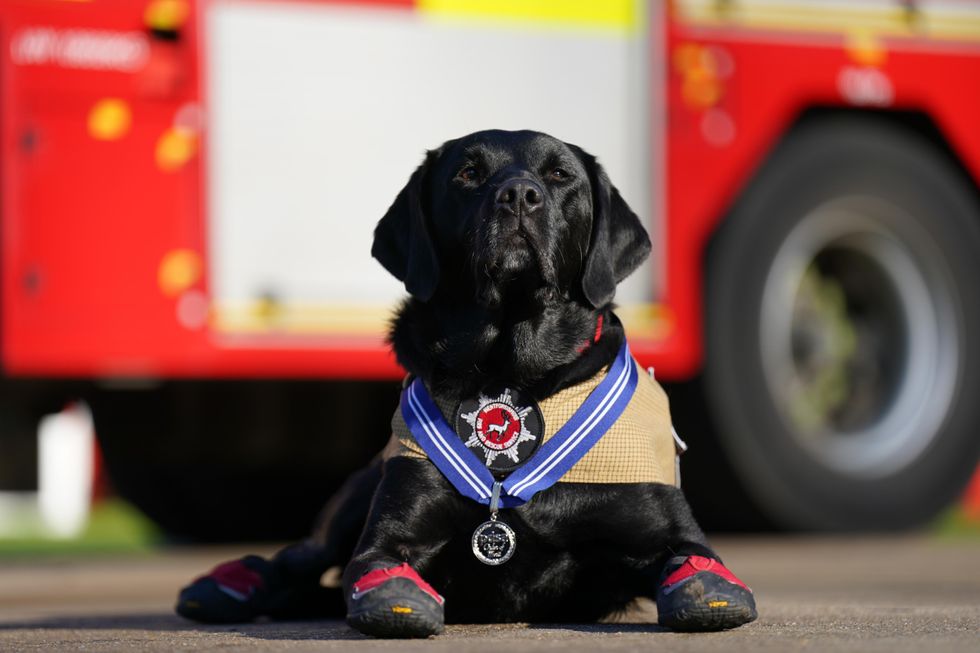Handler of dog that got lifetime service medal says she is ‘immensely proud’