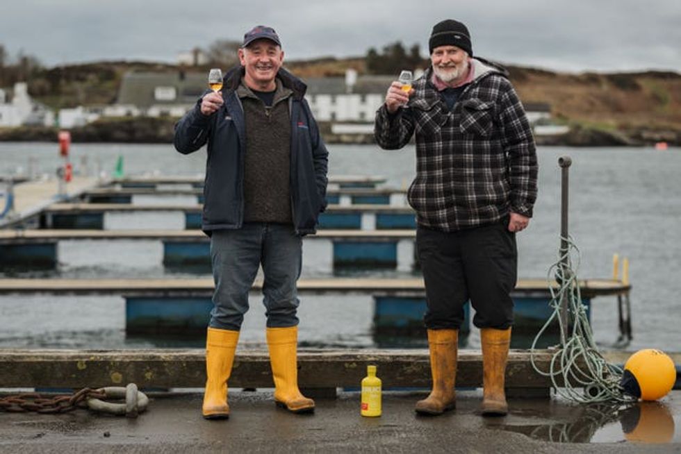 Bruichladdich distillery Yellow Submarine whisky