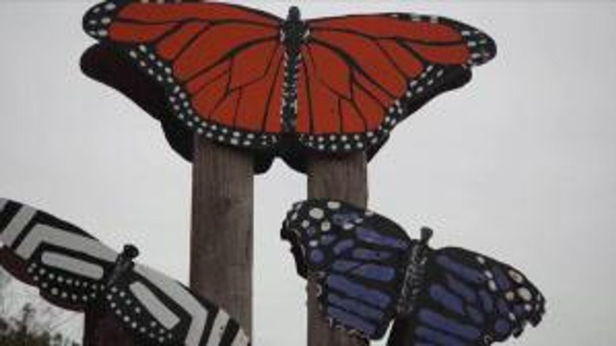 Butterfly sanctuary closes due to threats from Trump supporters