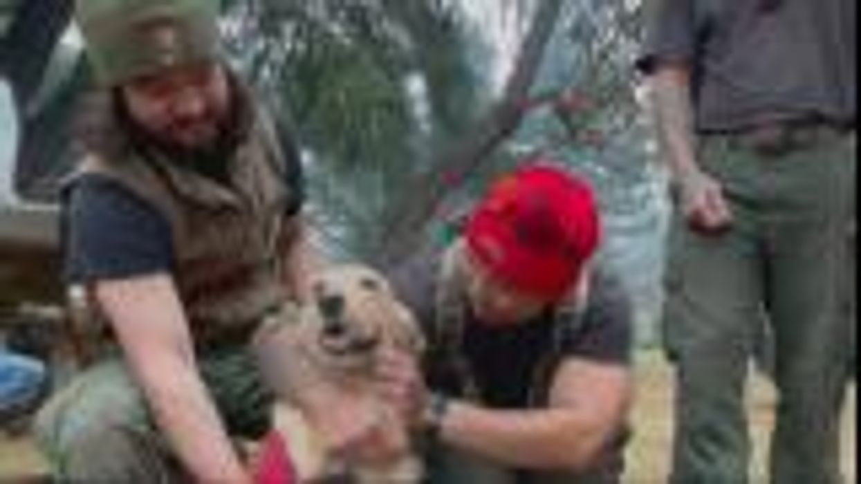 Man sues company for £200,000 after losing half his head on work night out