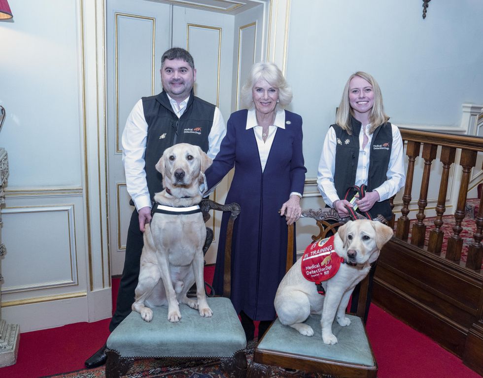 Queen urges greater use of medical detection dogs for conditions such as cancer