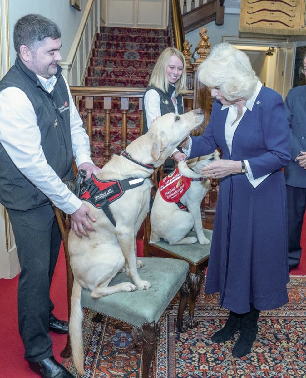 Camilla meets detection dogs Storm and Maggie