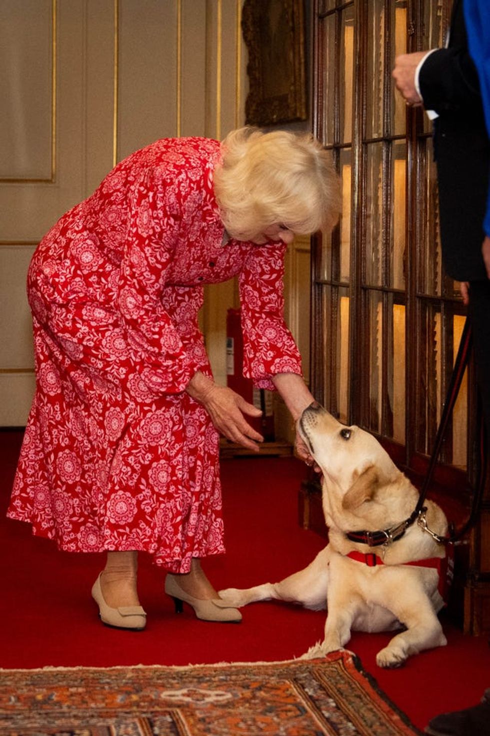 Camilla stroking Jodie, a dog