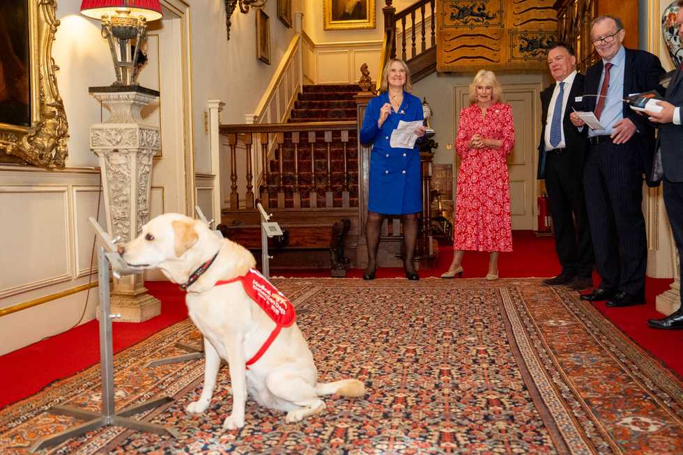 Queen says Clarence House becoming cancer-detecting dogs’ ‘second home’