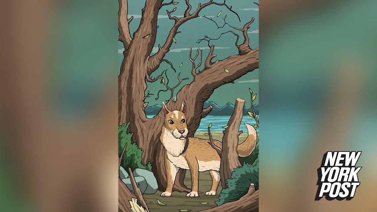 Only 1 per cent of people can find the hidden animal in this optical illusion