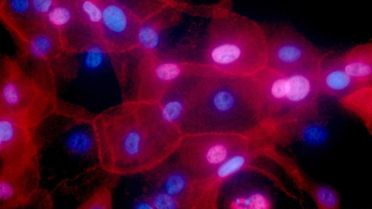 Husband calls wife 'selfish' for going to hospital with friend battling cancer