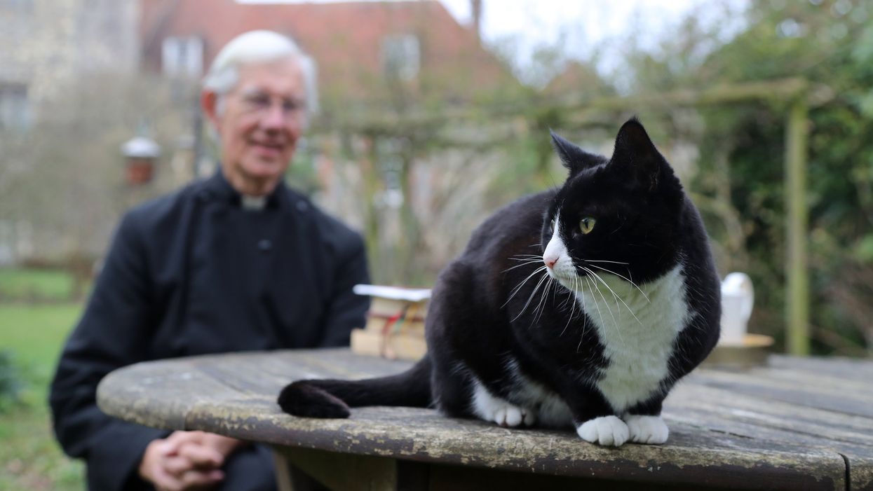 Canterbury Cathedral cats