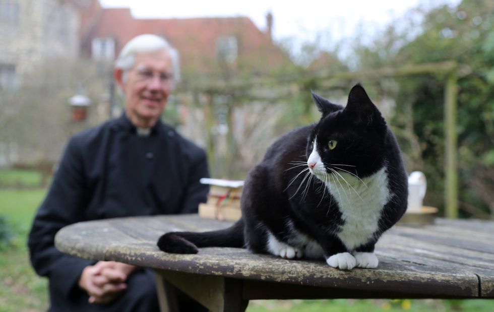 Canterbury Cathedral cats
