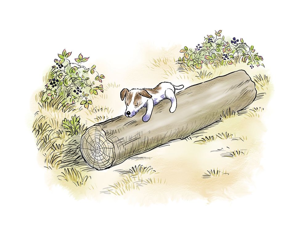 Carmen sleeping. (Illustrations by Mark Burgess copyright \u00a9 2023 The Trustees of The Pooh Properties and The Trustees of The Shepard Trust)