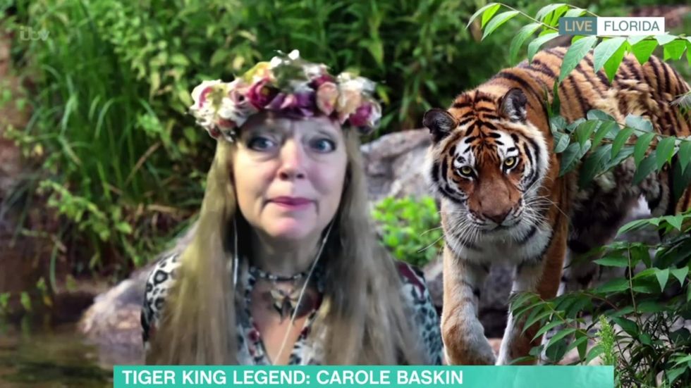 Carole Baskin gana: un juez le otorga el control del zoo de Joe Exotic