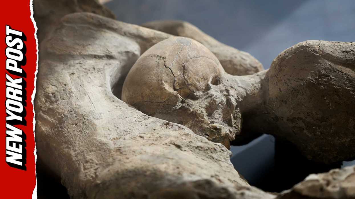 Artificial intelligence reveals face of Pompeii eruption victim