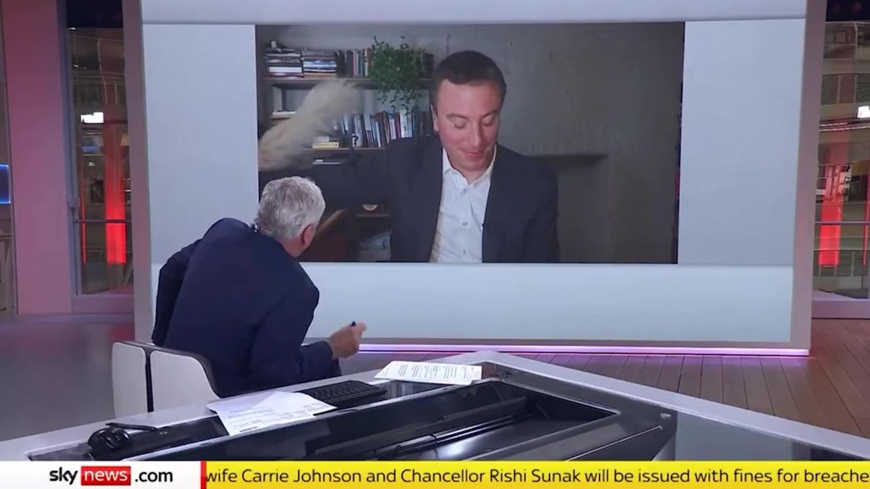 Cat repeatedly interrupts live report on Downing Street parties