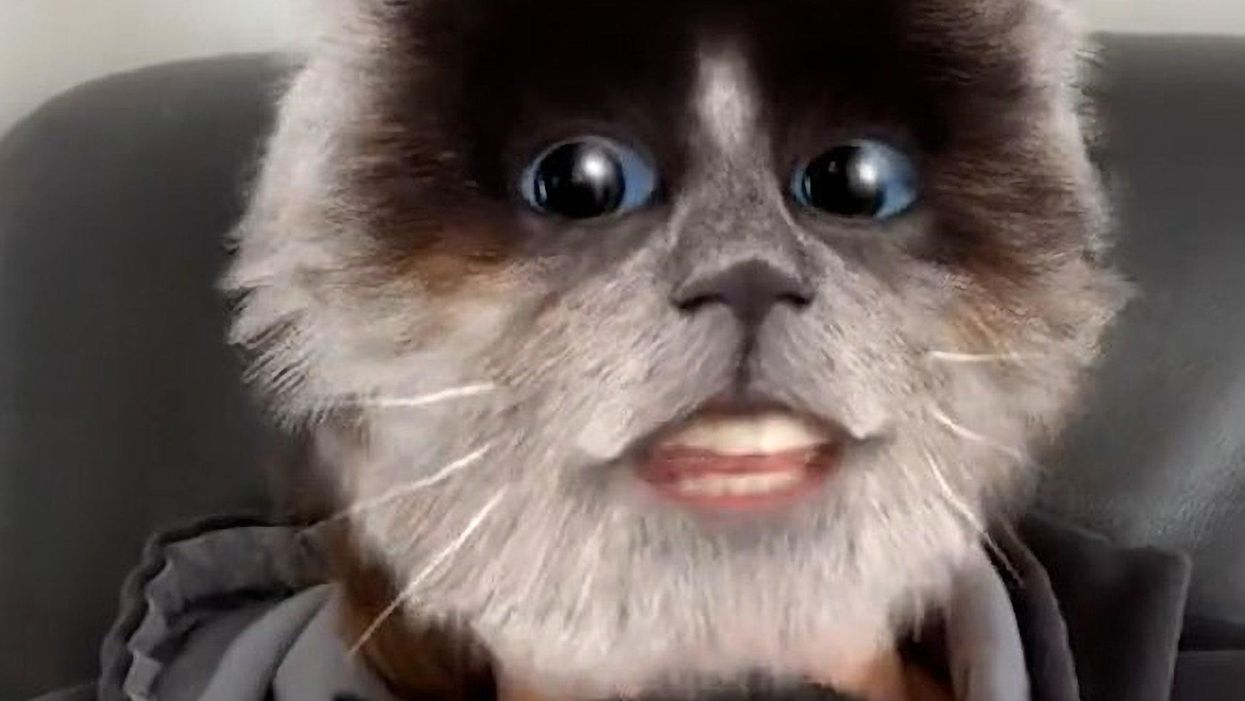Cat's hilarious reaction to owner using feline face filter is going viral