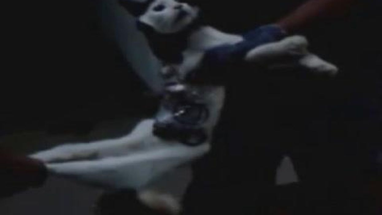 Woman smuggles alcohol to her dying Dad to give him his final drink