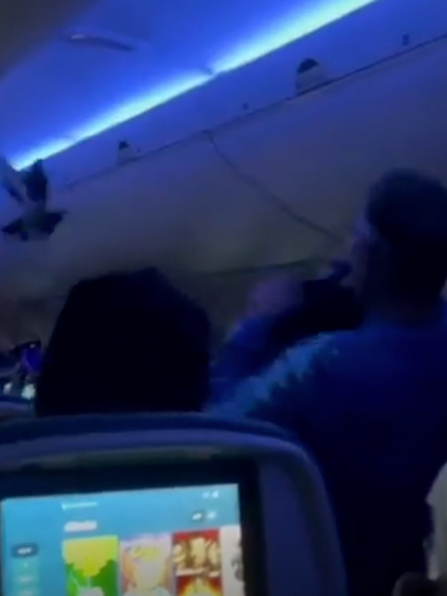 Catch the pigeon! Birds cause chaos on delayed Minneapolis flight