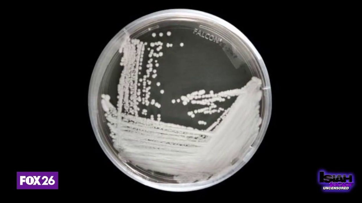 Man struck down by 'killer plant fungus' in world first