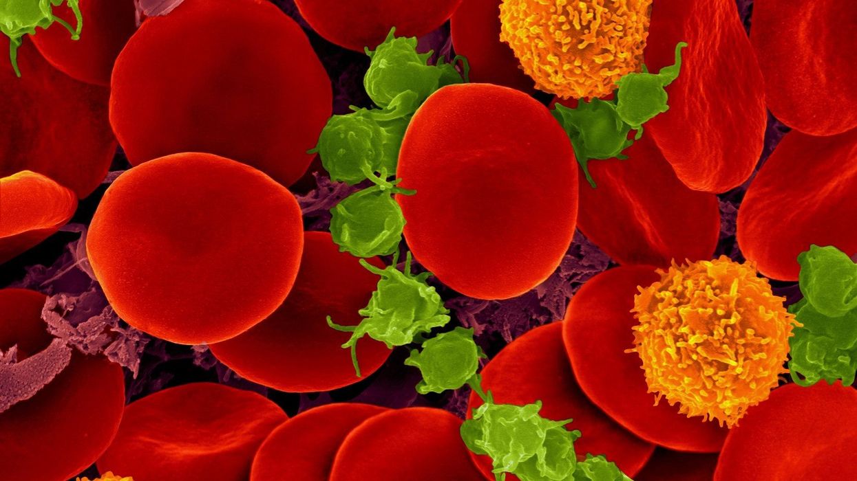 Scientists discover new lifeform inside human bodies