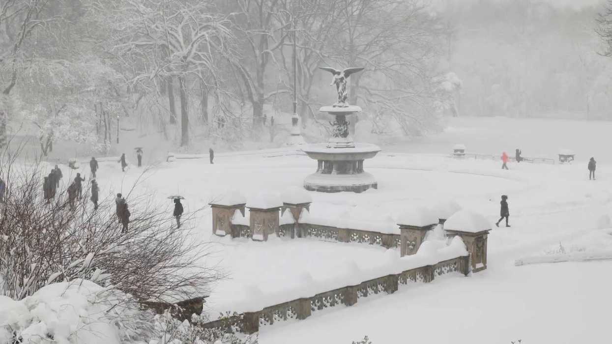 Central Park becomes winter wonderland as 19 inches of snow fall
