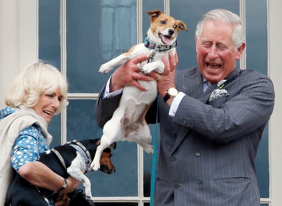 Camilla’s dogs to appear in sculpture form at first Highgrove shop at Chelsea