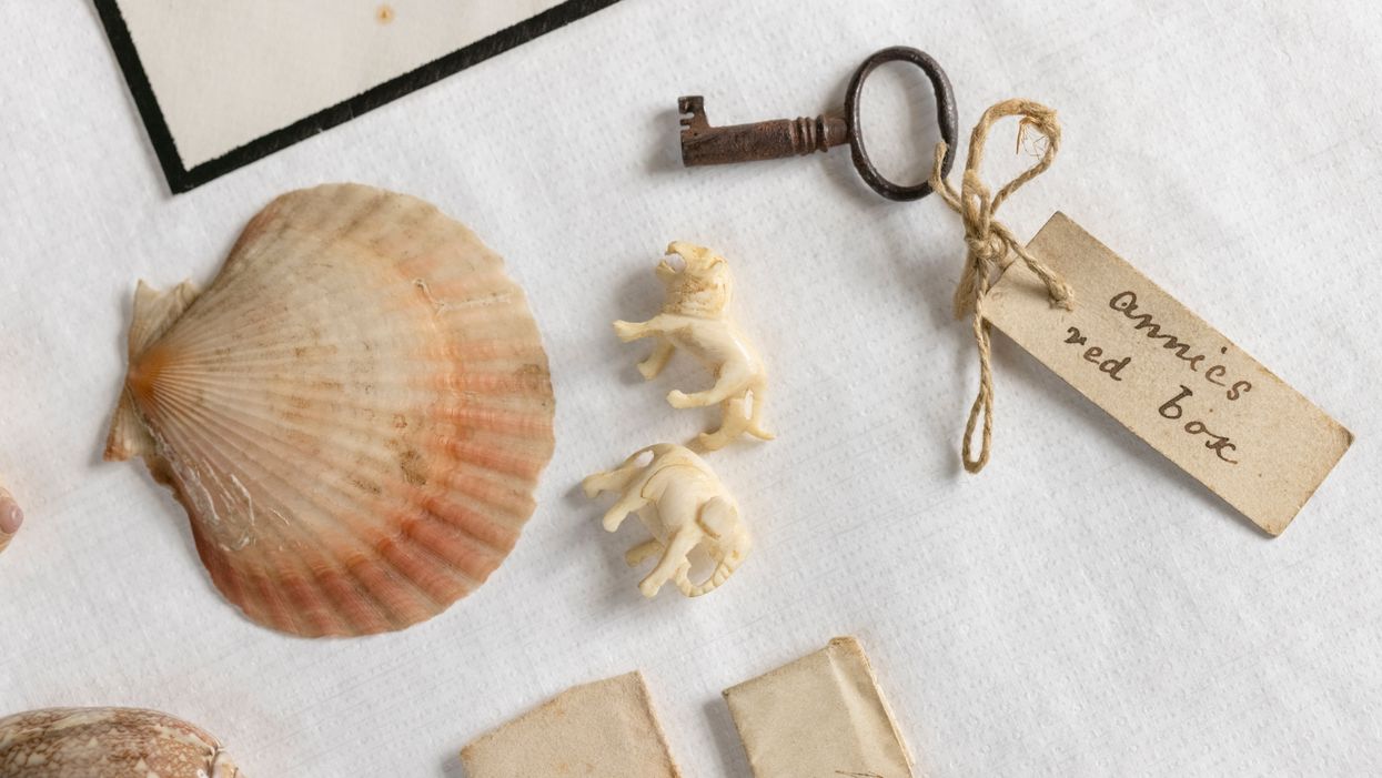 Charles Darwin family keepsakes