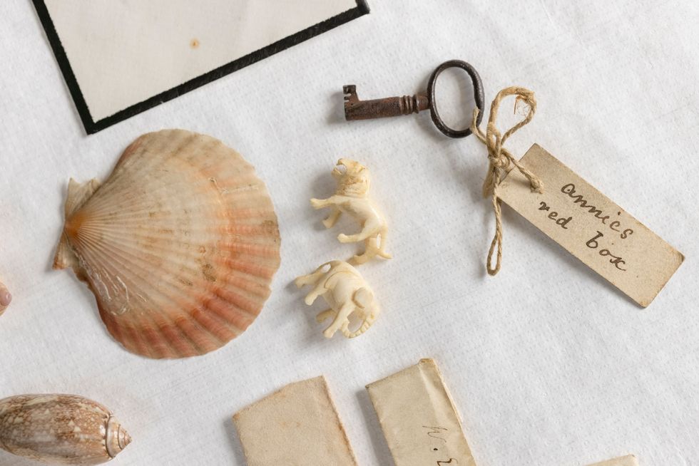 Charles Darwin family keepsakes