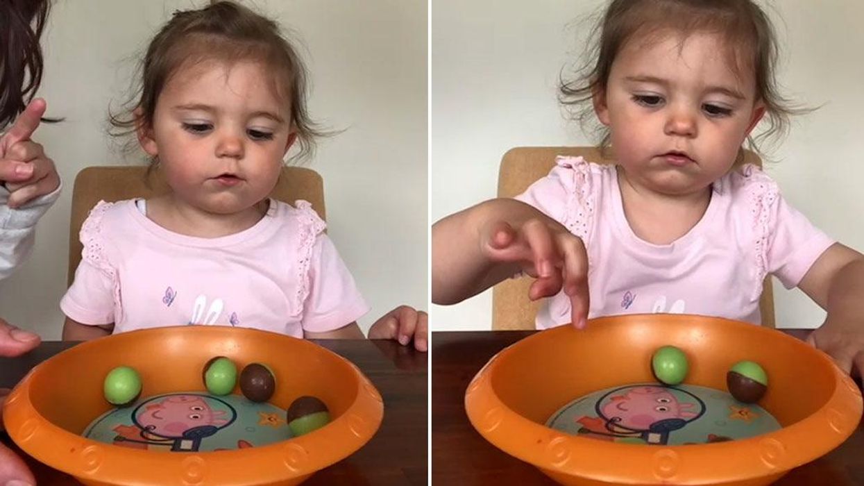 Cheeky toddler can't resist disobeying orders not to touch chocolates in cute video