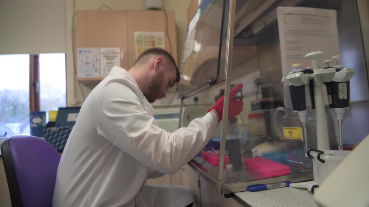 Chester Zoo pilot study could help save Asian Elephants from deadly disease