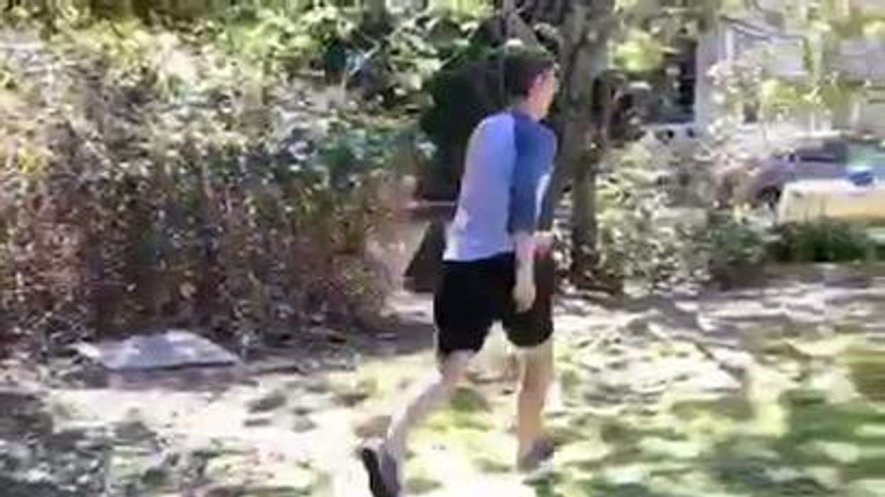 Chickens freeze like statues in creepy 'glitch in the matrix' video