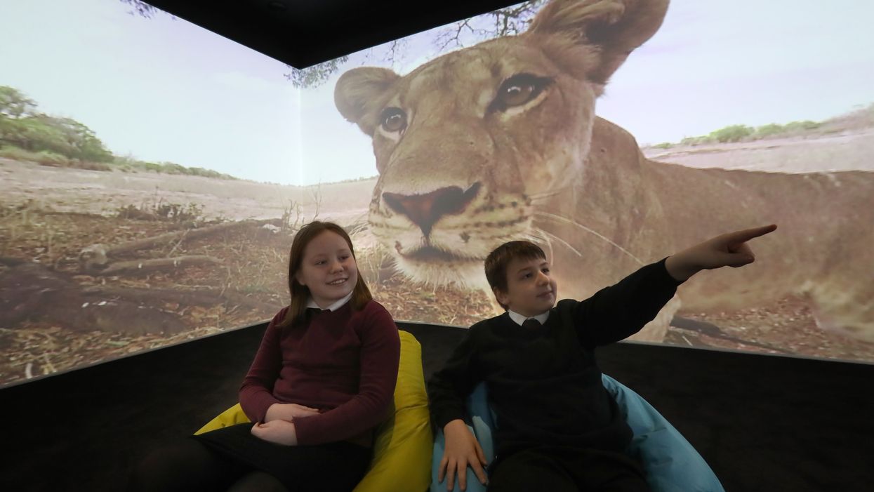 Children in the immersive classroom