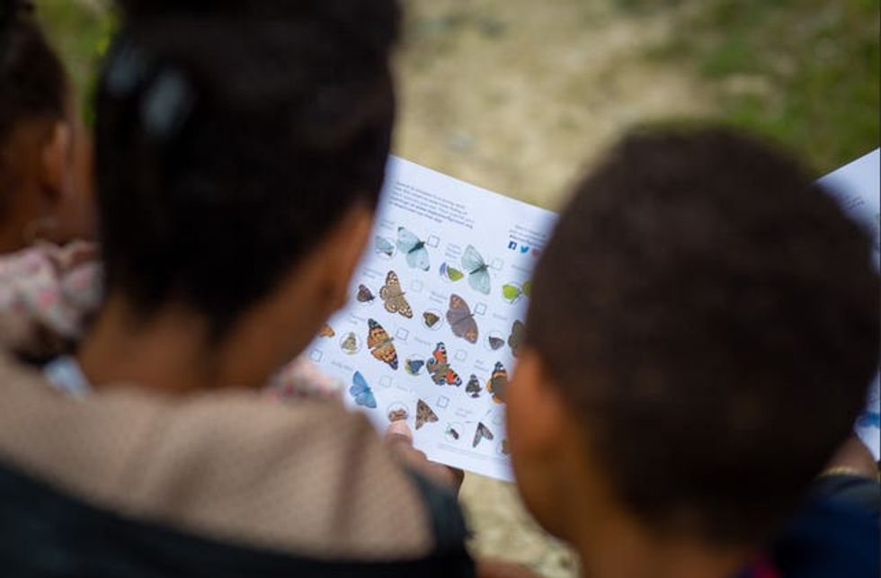 Children looking at a butterfly sheet, from behind