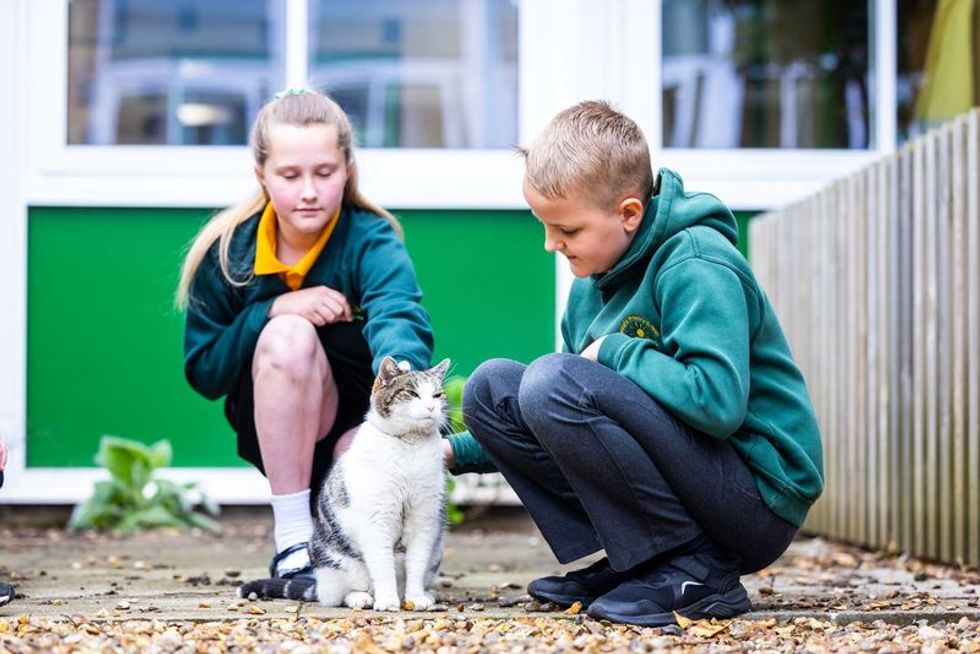 Children stroking a cat