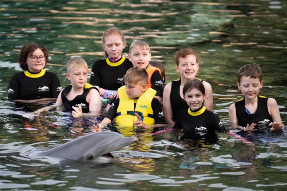 Children swim with dolphins during the Dreamflight visit to Discovery Cove in Orlando, Florida