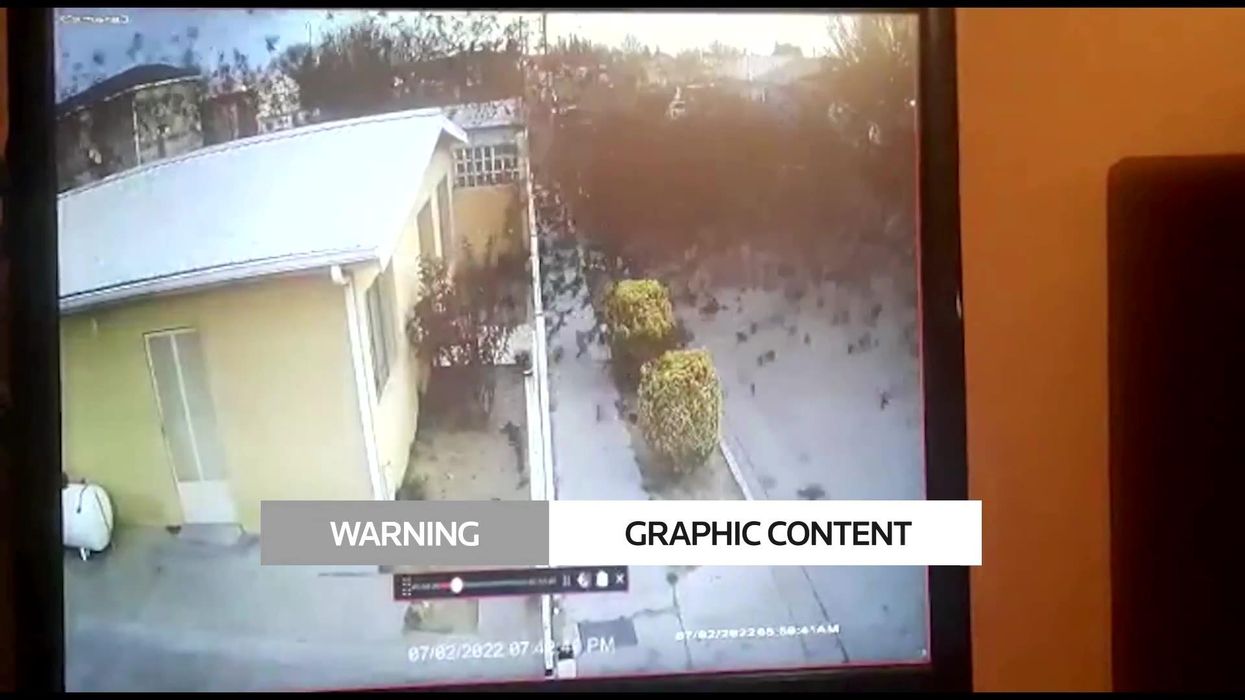 Footage captures moment hundreds of dead birds mysteriously fall from the sky