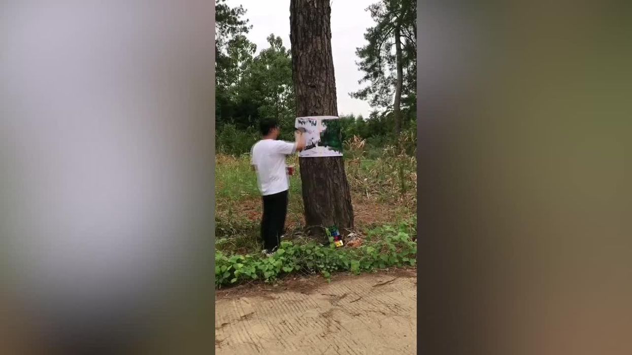 The squares aren't moving in this optical illusion and people can't believe their eyes