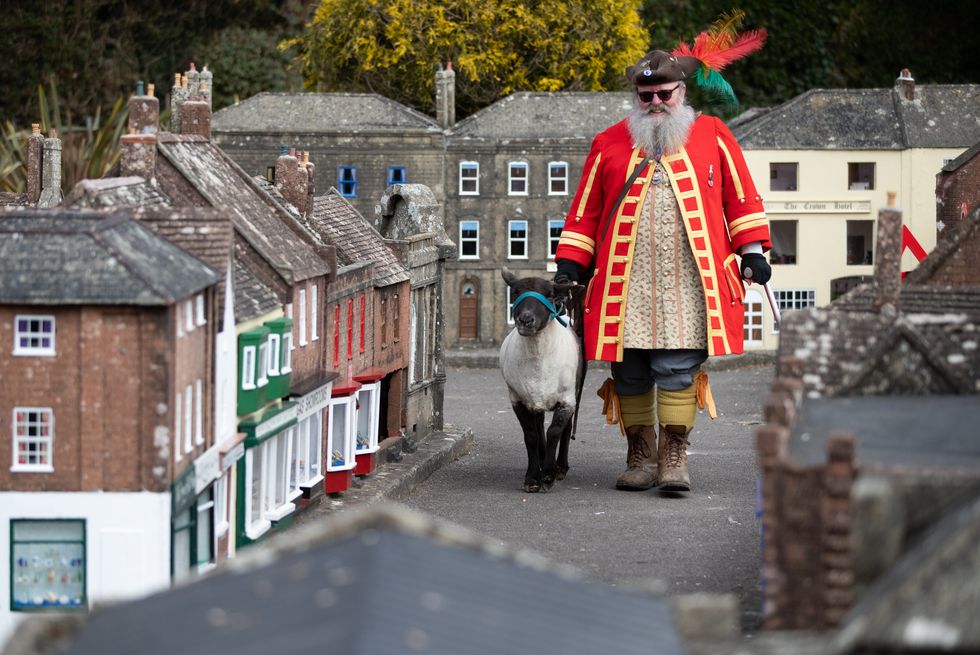 Chris Brown, the Town Crier and Mayor\u2019s Serjant of Wimborne Minster, in Dorset, exercises his right as an Honorary Freeman to drive sheep through Wimborne without charge, albeit through the Wimborne Model Town